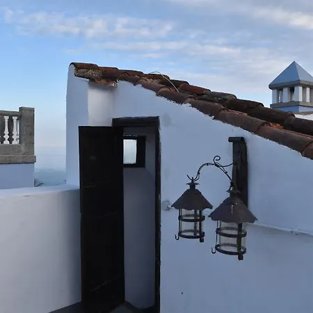 Gato Azul - Coliving Konukevi La Orotava