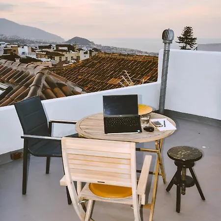 Gato Azul - Coliving La Orotava