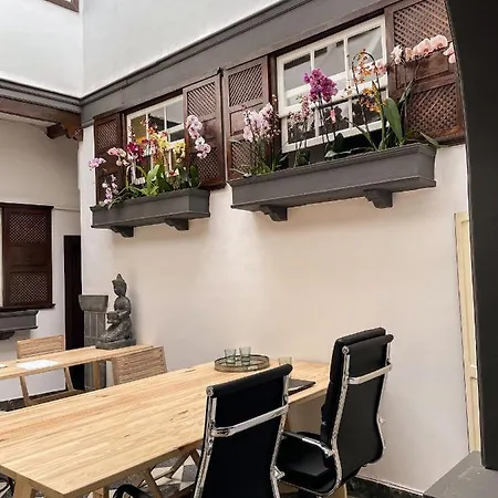 Gato Azul - Coliving Pensionat *