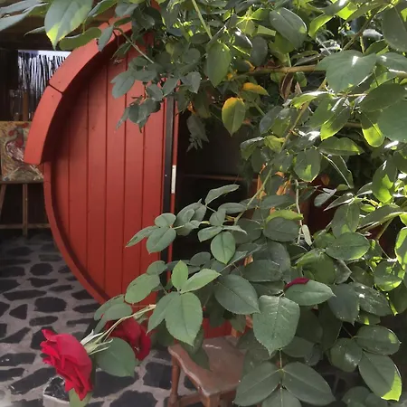 Gato Azul - Coliving Pensionat