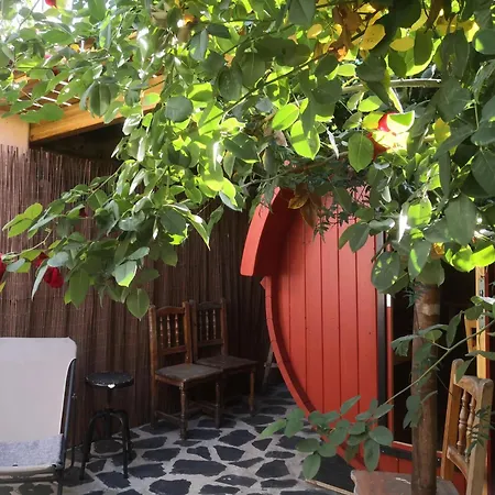 Гостевой дом Gato Azul - Coliving
