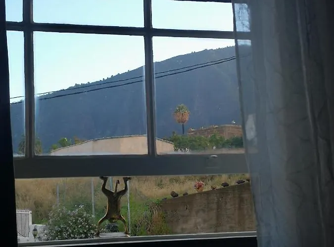 Gato Azul - Coliving