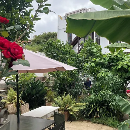 Pensión Gato Azul - Coliving