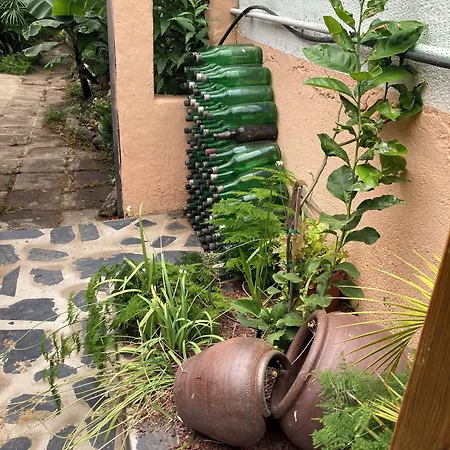 Gato Azul - Coliving *