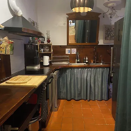 Gato Azul - Coliving Pensión La Orotava