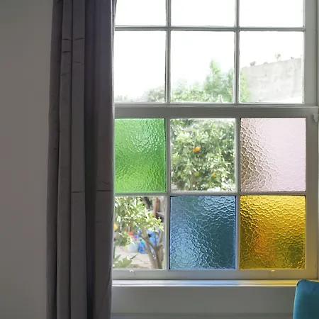 Gato Azul - Coliving La Orotava