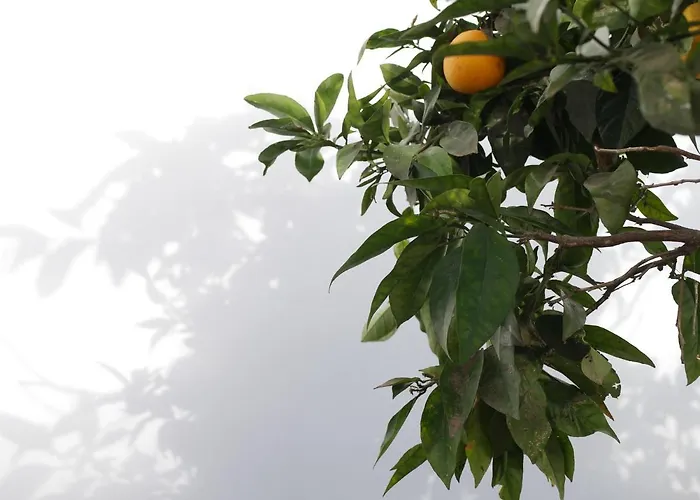 Gato Azul - Coliving 게스트하우스