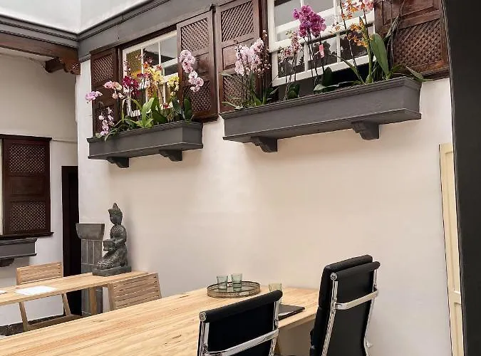 Gato Azul - Coliving Pensionat *