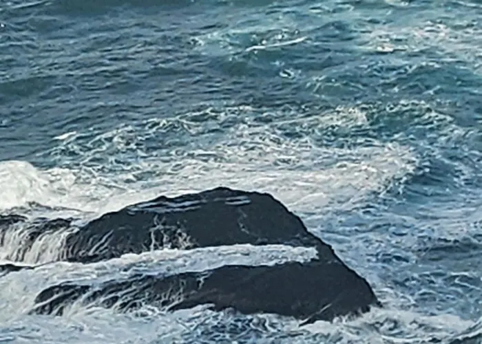 Gato Azul - Coliving