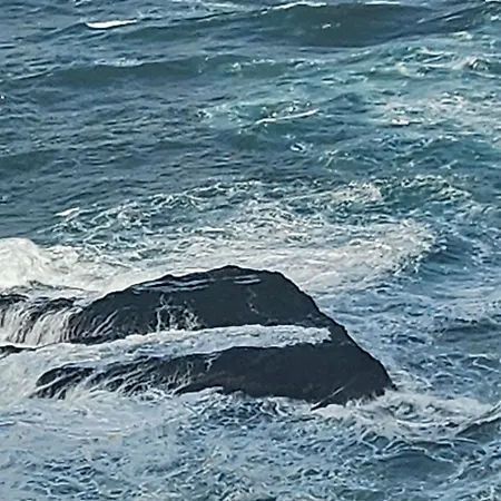 Gato Azul - Coliving